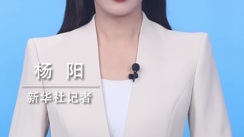 数据治理案例分享会：揭秘企业高效数据管理的秘诀