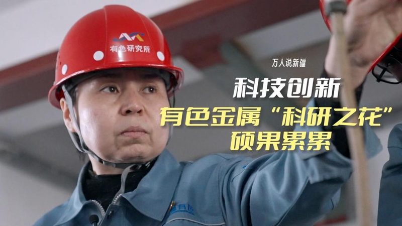 知识图谱存储定制开发